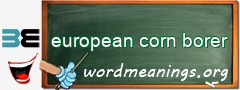 WordMeaning blackboard for european corn borer